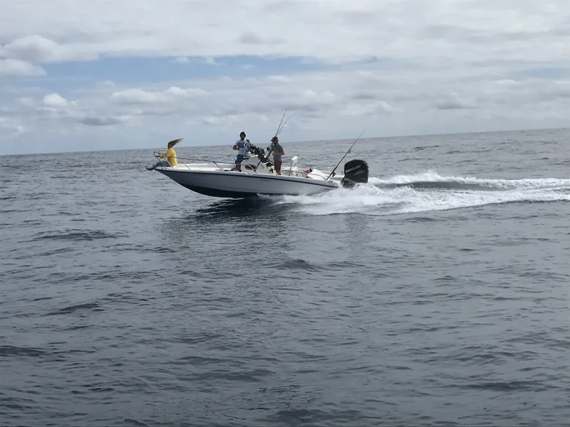 En navigation sur le Bassin