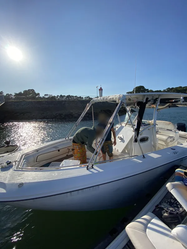 Au port de la Vigne, à quai
