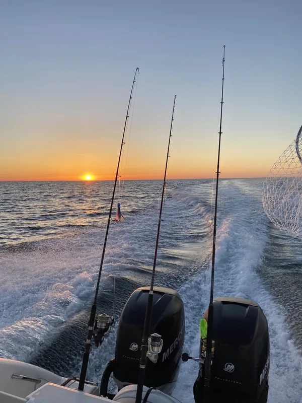 Au soleil levant, une sortie de pêche au thon